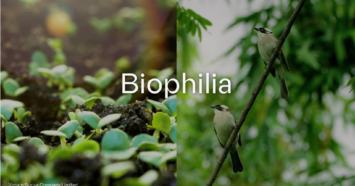 ถอดคอนเซปต์ ‘Biophilia’ โครงการ ‘Dusit Central Park’ กับสวนลอยฟ้าใหญ่สุดในไทย