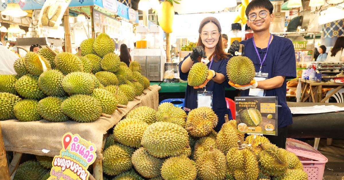บุฟเฟต์ทุเรียน 30 สายพันธุ์ หมอนทอง มูซานคิง ก้านยาว ชะนี ไอคอนสยาม เมืองสุขสยาม