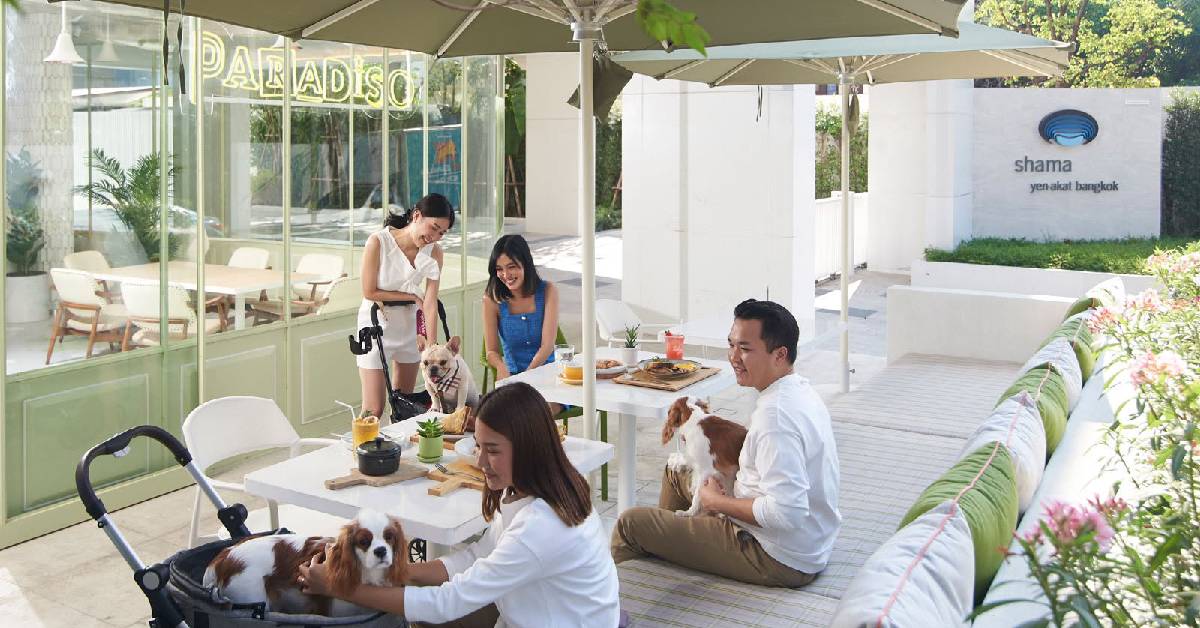 ‘ชามา’ ยกระดับที่พักตอบเทรนด์ทำงานข้ามเมือง ชูแนวคิด The Joy of Living