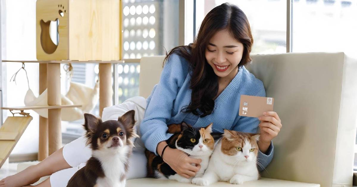 พลังซื้อทาสสายเปย์ รูดหนักบัตรเครดิตหมวดสัตว์เลี้ยง กรุงศรี ครึ่งแรกปี69 โตแรง 8%